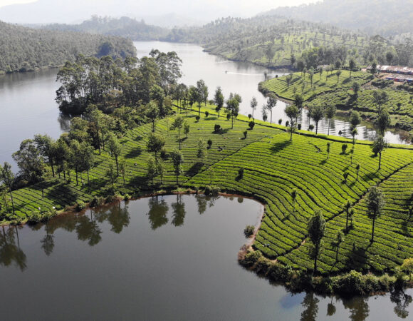 Popular Munnar Holiday Package