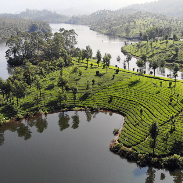 Munnar holiday place