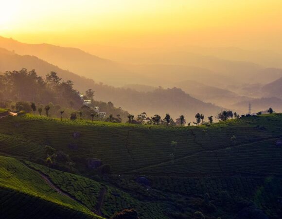 Spectacular Munnar tour for 3 Days