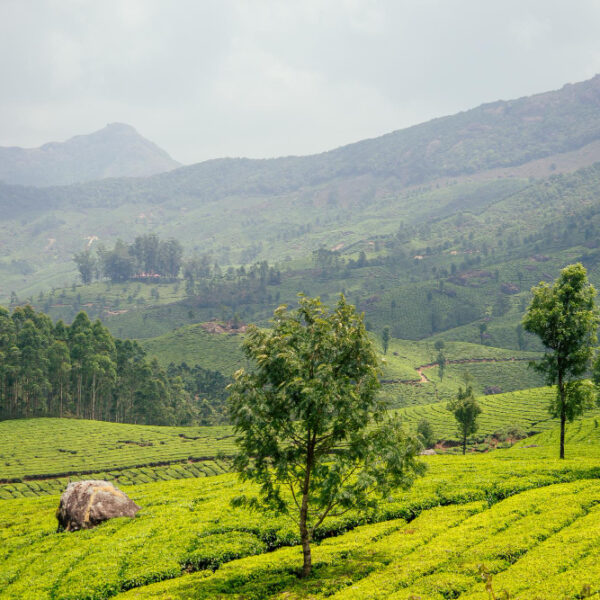 Munnar