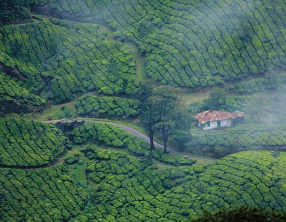 The best Exciting Munnar Trip