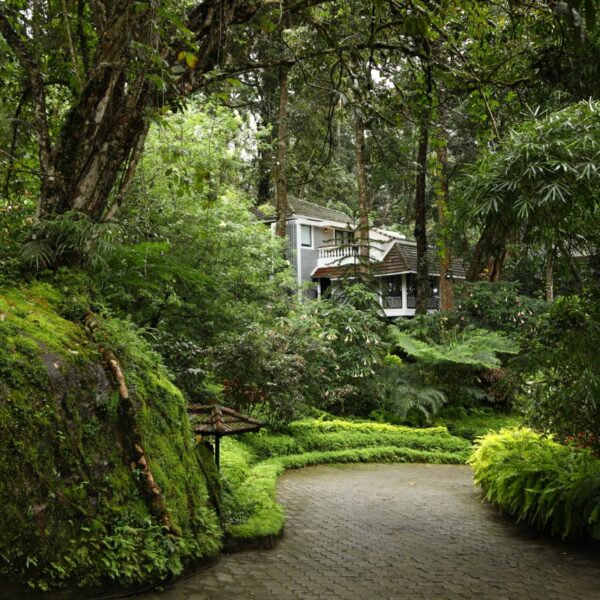 Tall Trees Resort Munnar