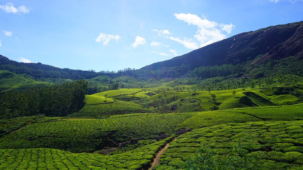 Munnar