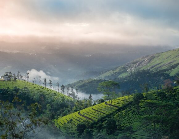 Amazing Munnar Tour Package