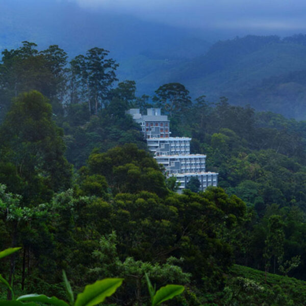 Chandys windy woods Munnar