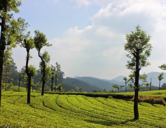 The Best Munnar Family Package