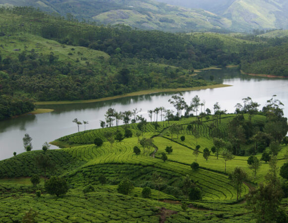 Mesmerizing Munnar Holiday Package