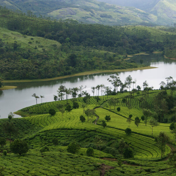 Munnar holiday place