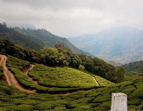 The best Munnar tour packages for family