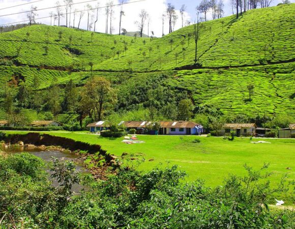 Awesome Munnar Trip Package