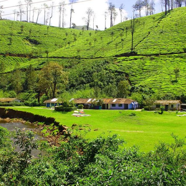 Munnar trip places