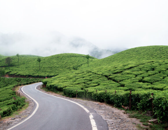 Popular Munnar Getaway