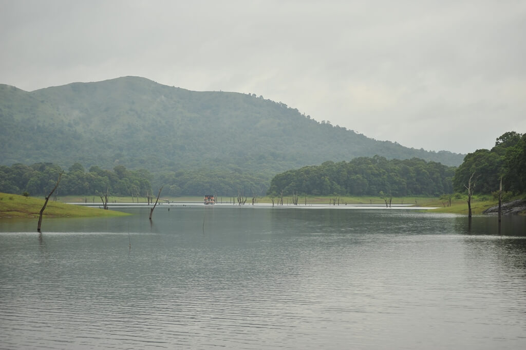 Best Places to Visit in Thekkady