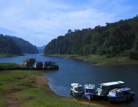 Popular Thekkady Tour for 3 Days