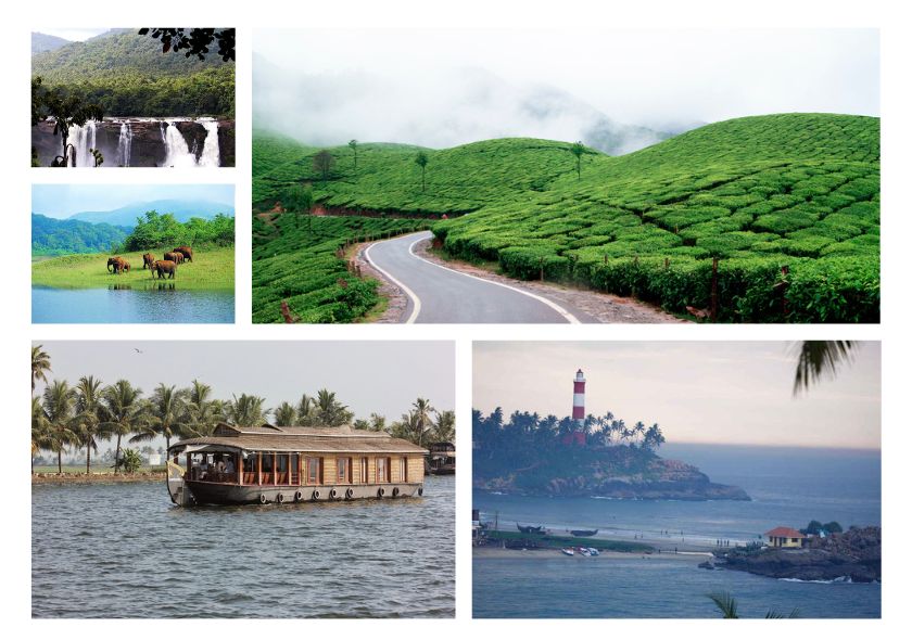 Astonishing Kerala Trip for Couple