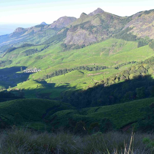 kolukkumalai tea estate