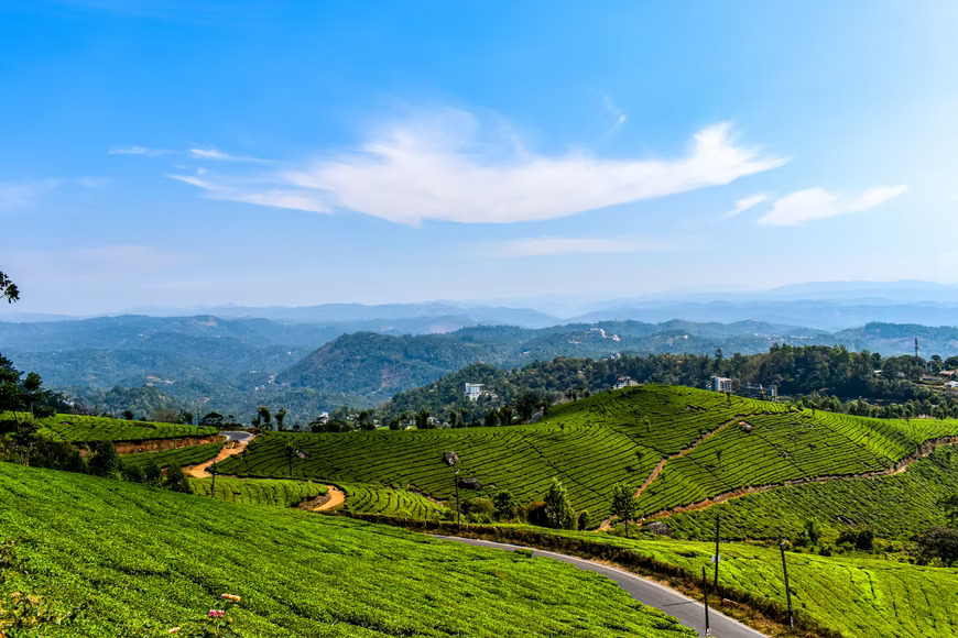 Munnar Travel Guide 