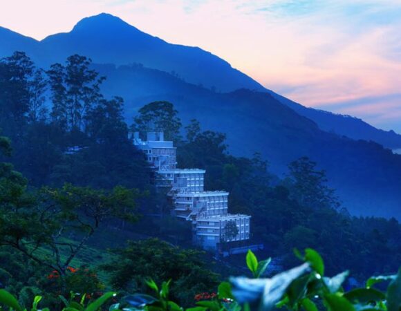 Chandys Windy Woods Munnar