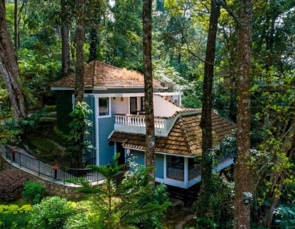 The tall trees resort munnar