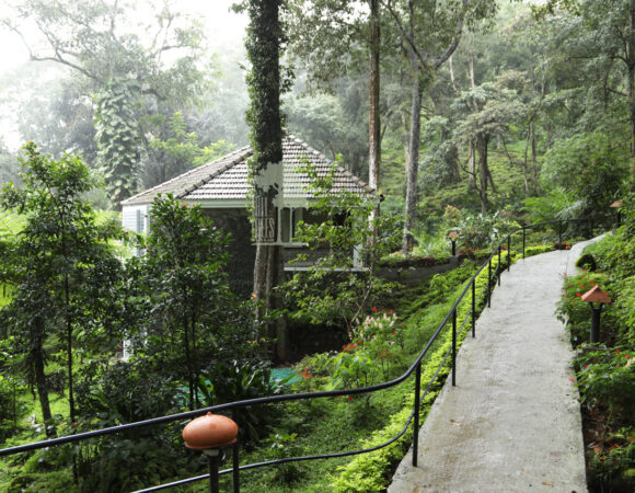 tall trees munnar mint villa