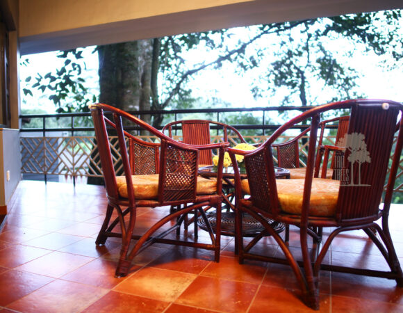 tall trees resort munnar saffron grand