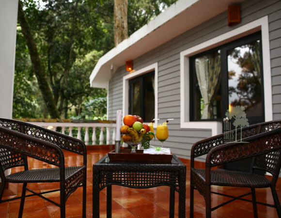 the tall trees resort munnar saffron suite