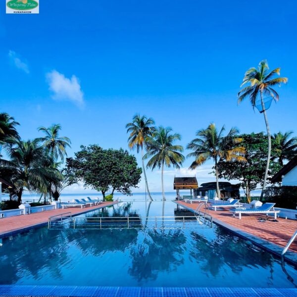 Infinity Pool at Abad whispering Kumarakom