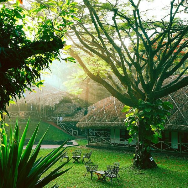 CGH Earth Spice Village resort Thekkady