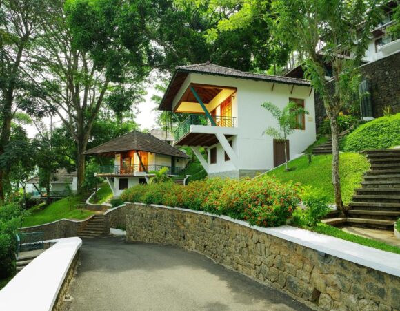 Premium cottage in Forest Canopy Thekkady