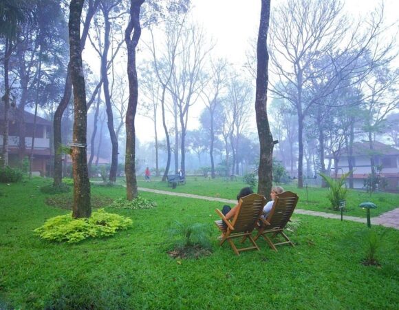 Greenwoods nature resort in Thekkady