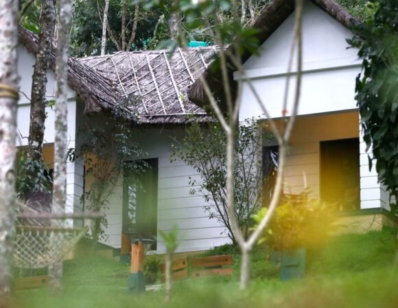 Niraamaya resort Thekkady