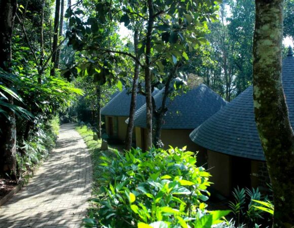 Deluxe cottages in Poetree Sarovar Portico Thekkady (Circle of Solitude)