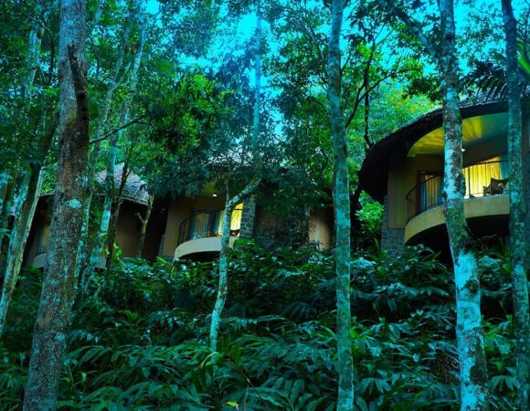 private cottages at Sarovar Portico Thekkady surrounded by trees