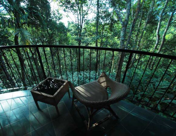 Deluxe Cottage (Circle of Solitude ) in Sarovar Portico Thekkady