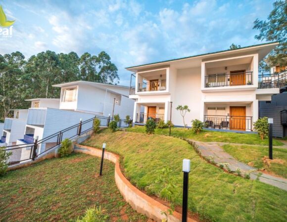 The Leaf munnar -Golden Leaf Room