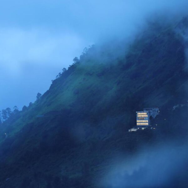 amber dale munnar