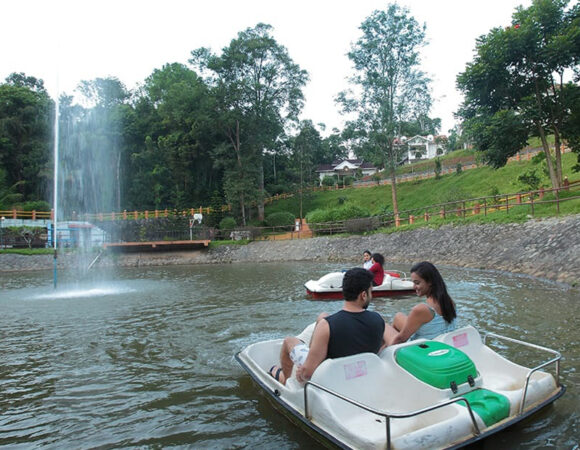 broad bean hotel munnar