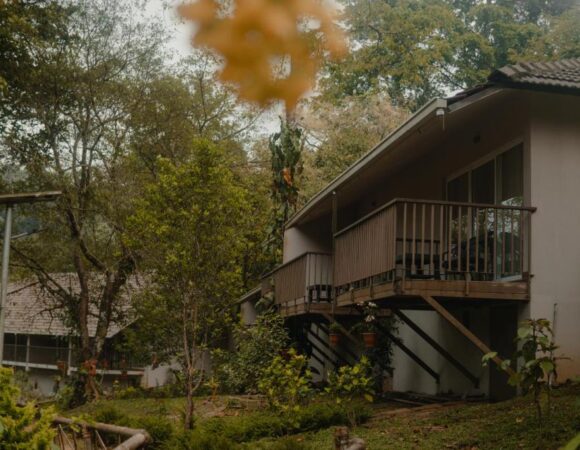 Garden Facing Cottage in Abad Brookside Wayanad