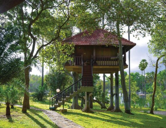 Tree House in Isola Di Cocco beach resort