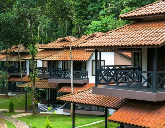 Lake View Deluxe Cottage in the Serenity resort Wayanad