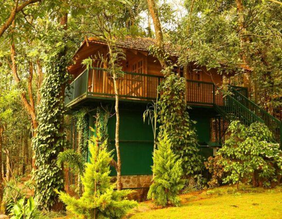 wooden Chalet in Mount Xanadu resort