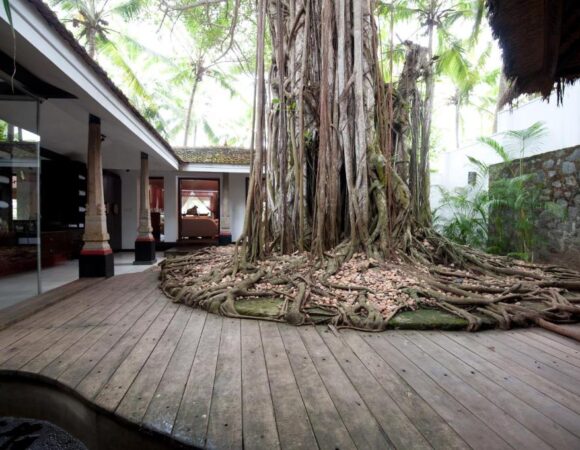 Banyan Tree Bungalow in Niraamaya retreats kovalam