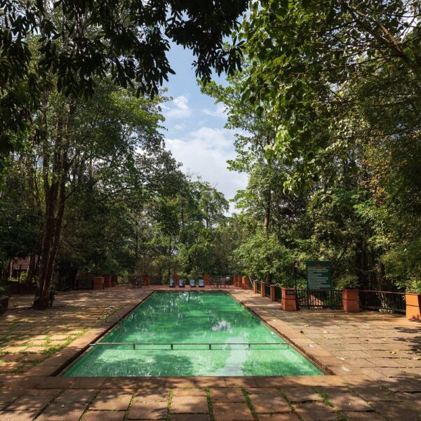 outdoor pool at Vythiri resort