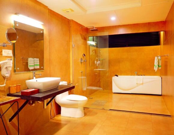 deluxe room with jacuzzi in wayanad wild cgh