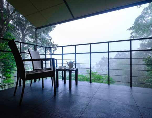 superior room in wayanad wild resort