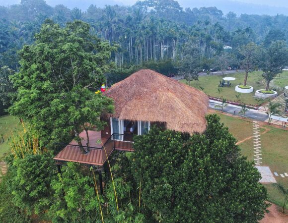 Tree House in Jungle bay resort wayanad