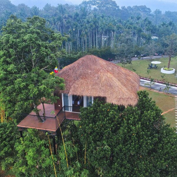 Tree House in Jungle bay resort wayanad