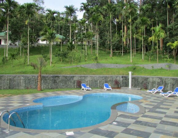 pool at the Woods Resort wayanad