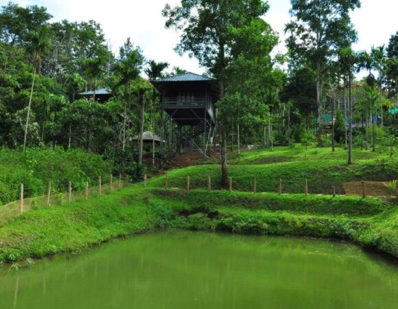 Ebony cottage in the Woods Resort wayanad