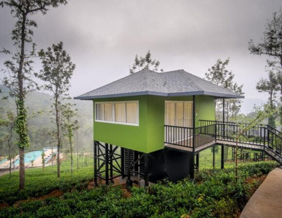 private cabin in Wild Planet Jungle Resort